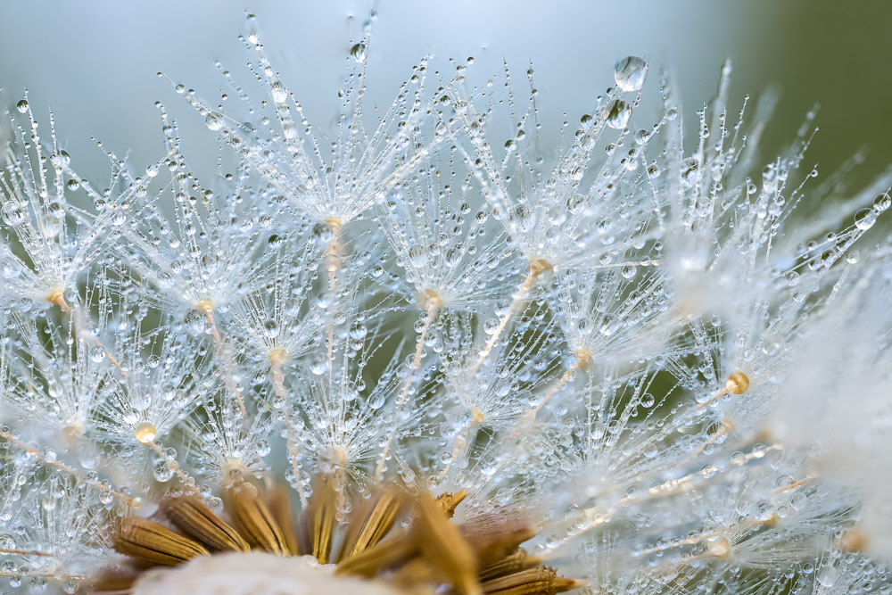 Platz 4 Conny Kleiner